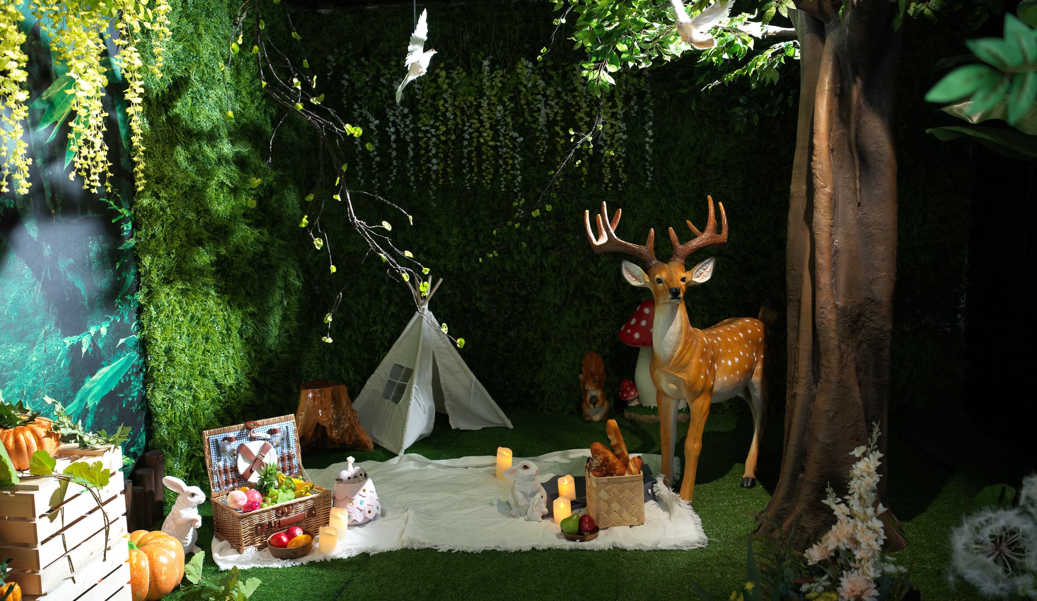 藍蛇攝影棚 Lancer Studio 1