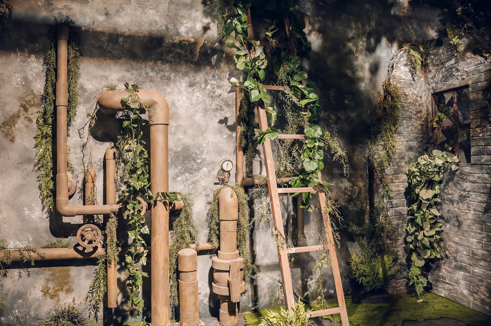 貓棚 Felidae Studio 4