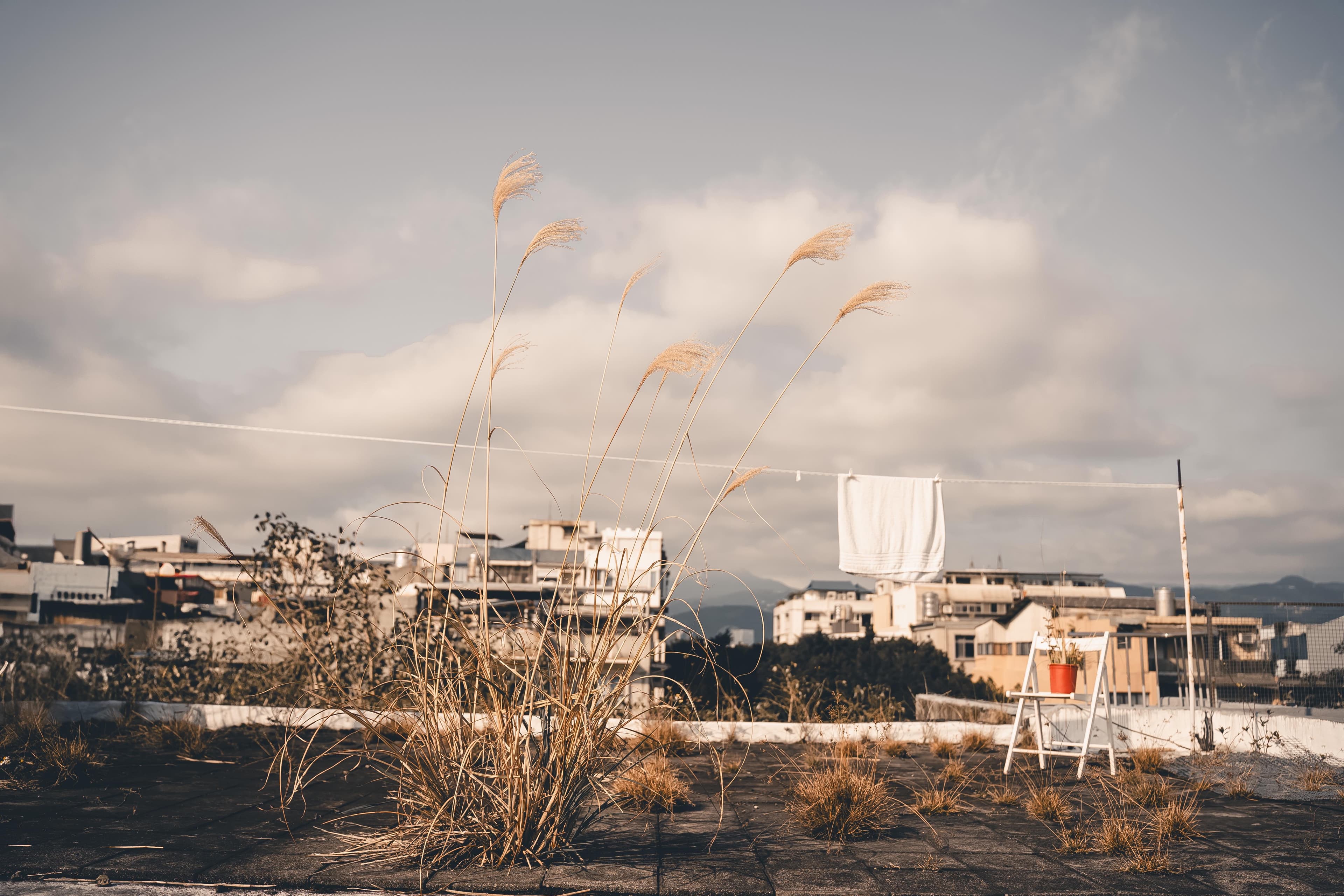 「森活・生活」復古家景/頂樓露台/音樂練團室 1