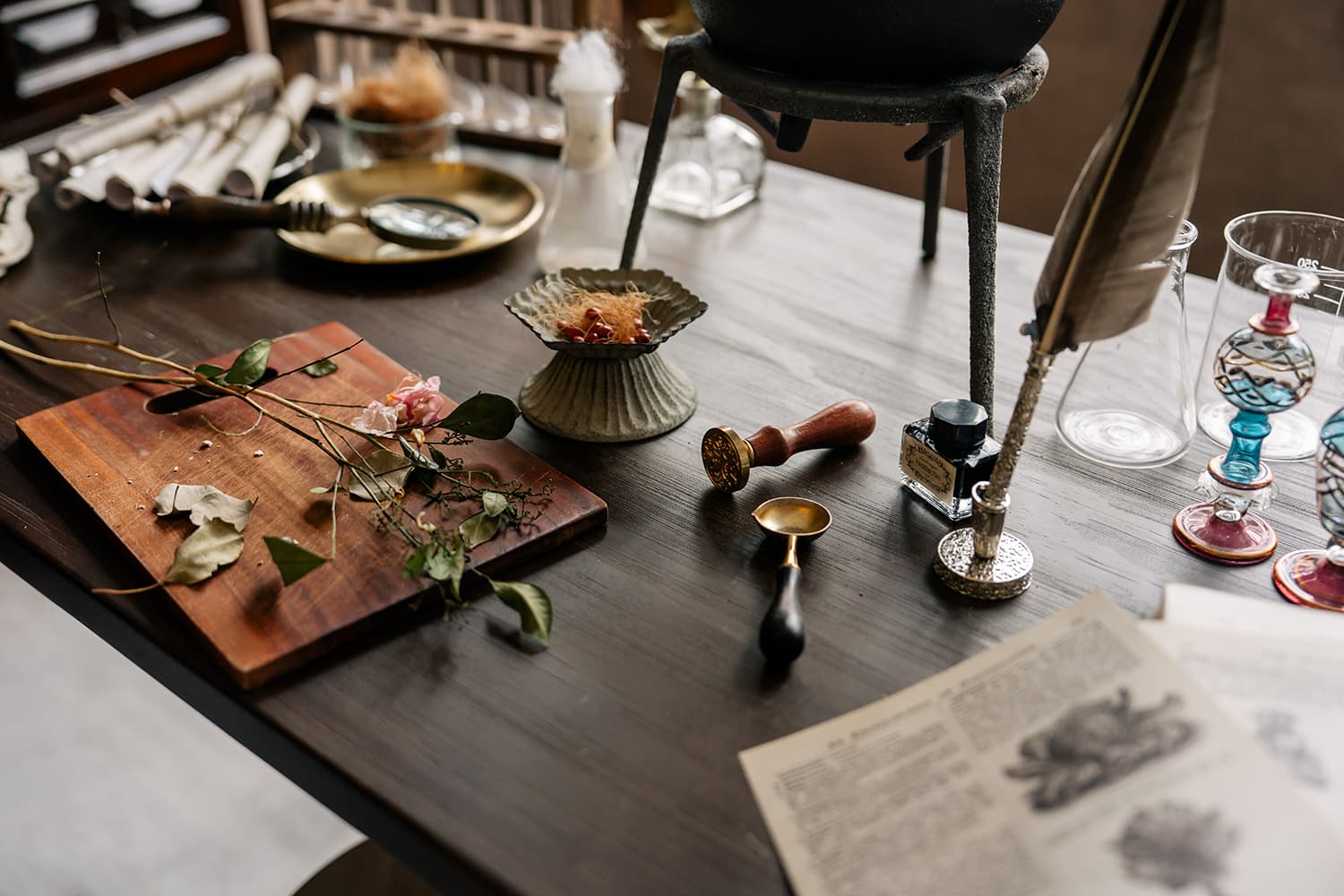 夢之島 Dream Island 4