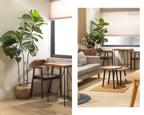 圓山重慶 ✦ 果得影像 大面窗日光廚房攝影棚/可真實炊煮/可移動中島/日式侘寂居家客廳景/圓山捷運站 3