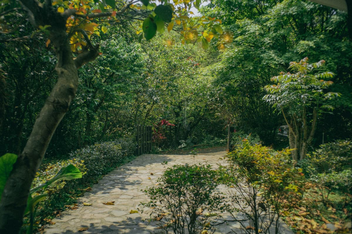 小木屋 Little cabin