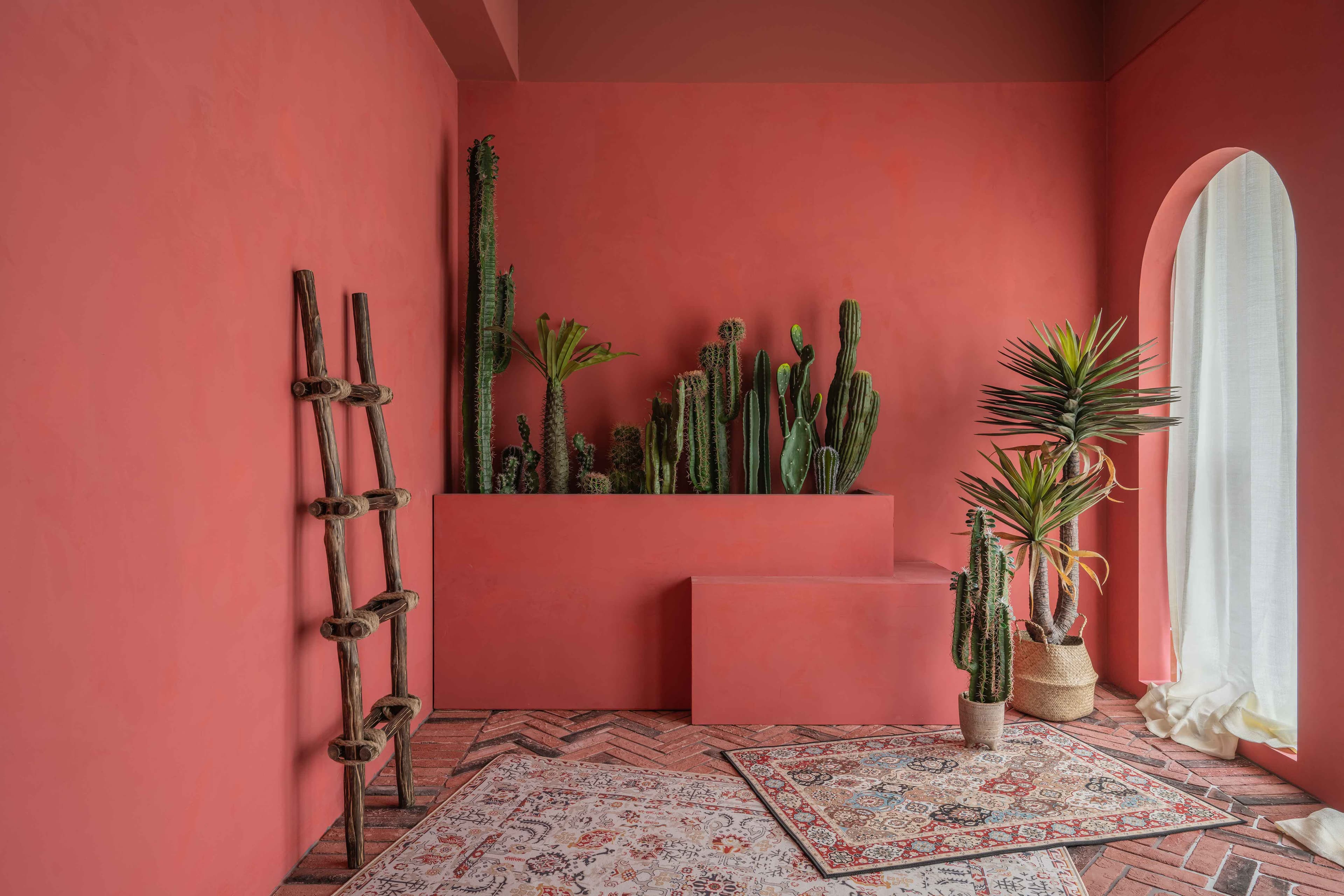 Studio 91桃園實景攝影棚 居家/簡約/特色實景/無縫白棚/活動空間 1