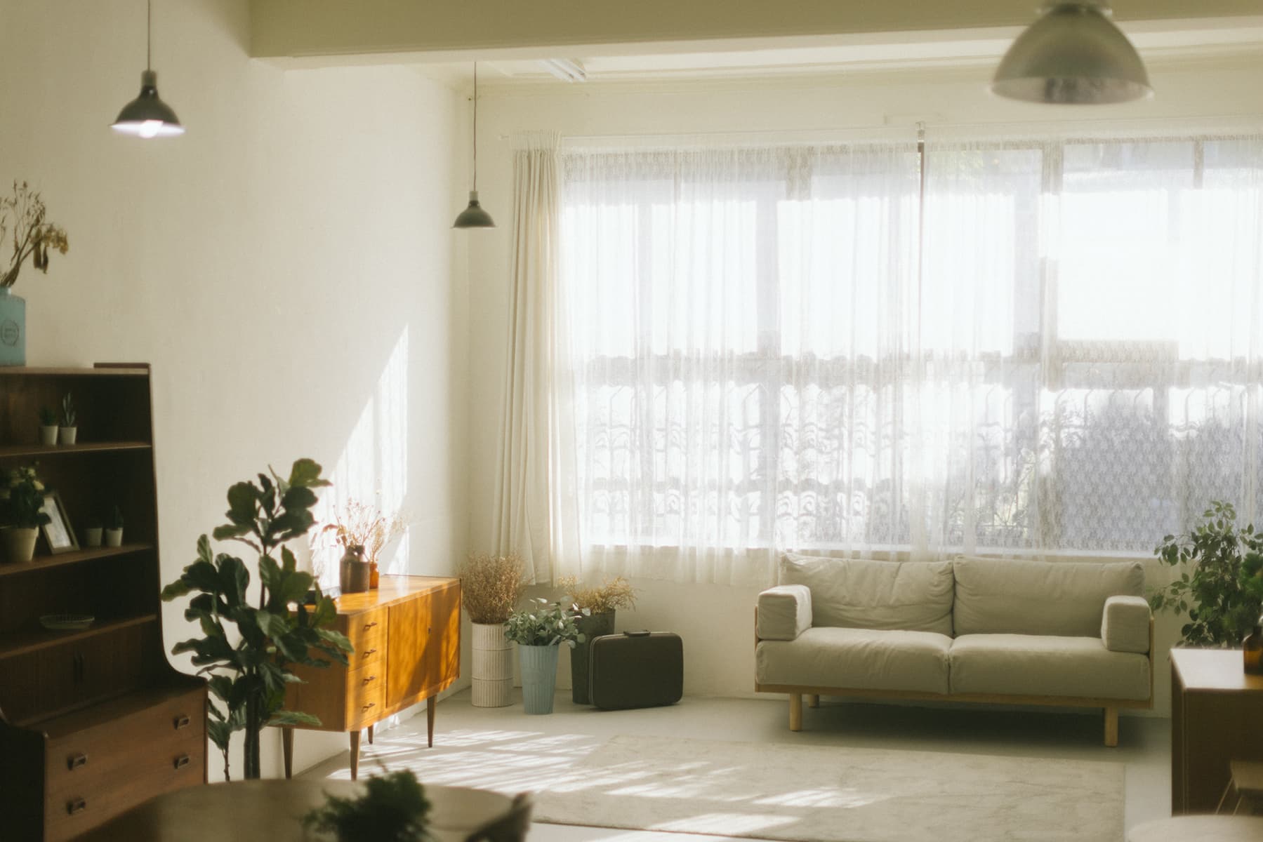 日光小室nikkokomuro cover