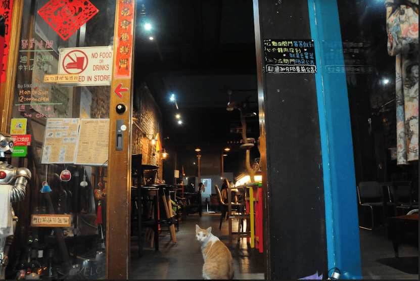 1+1 Together Republic coffee 場地拍攝