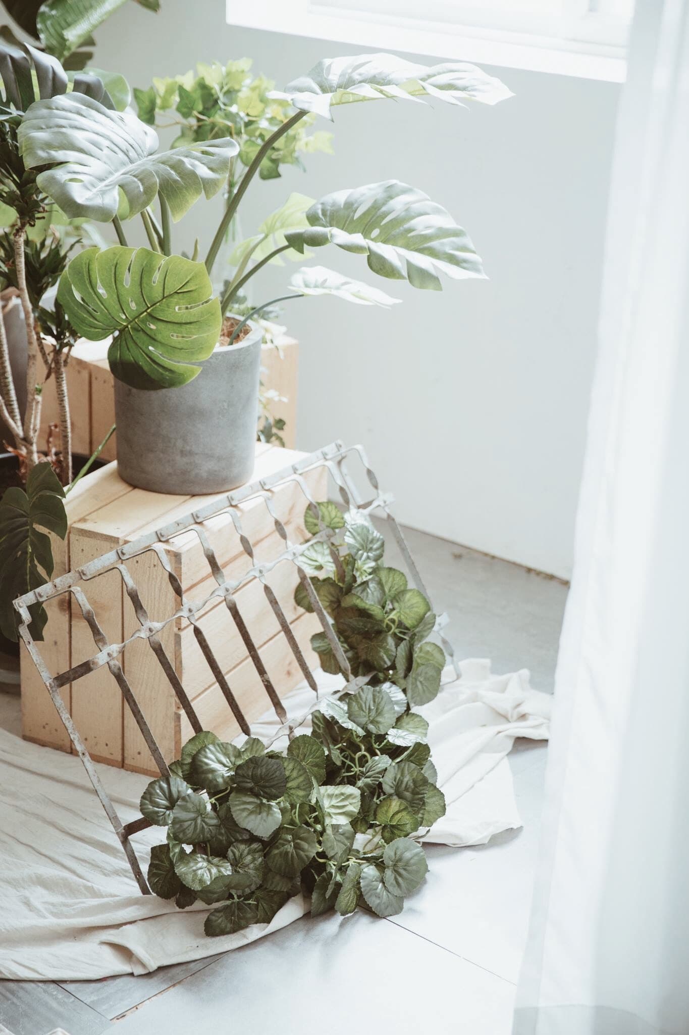 Fish Eye studio 魚小魚攝影工作室 cover