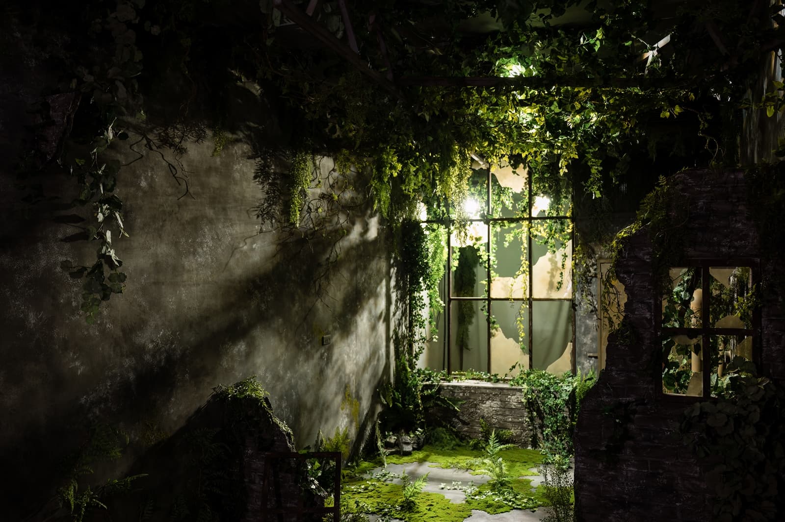 貓棚 Felidae Studio