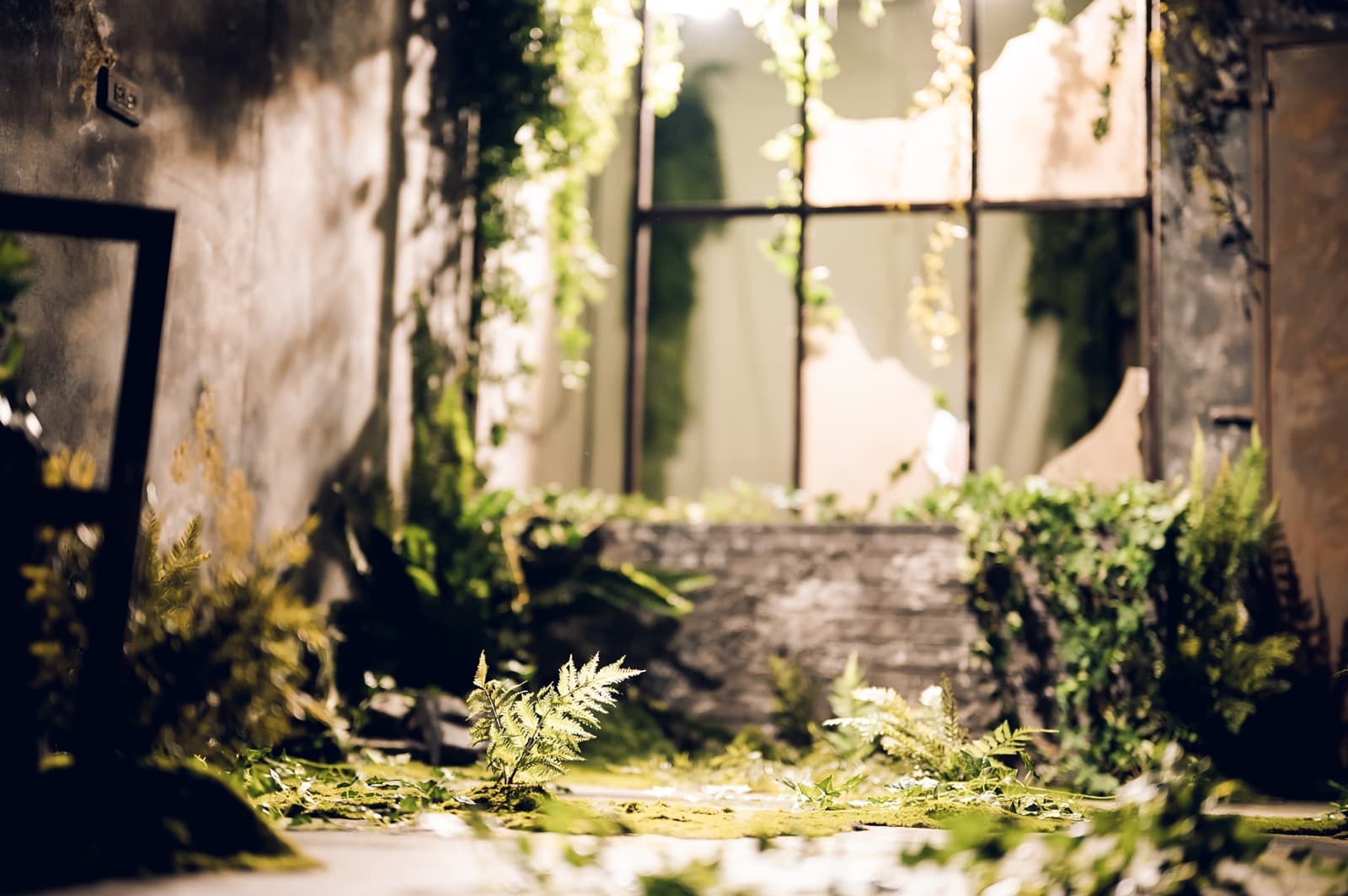 貓棚 Felidae Studio 3