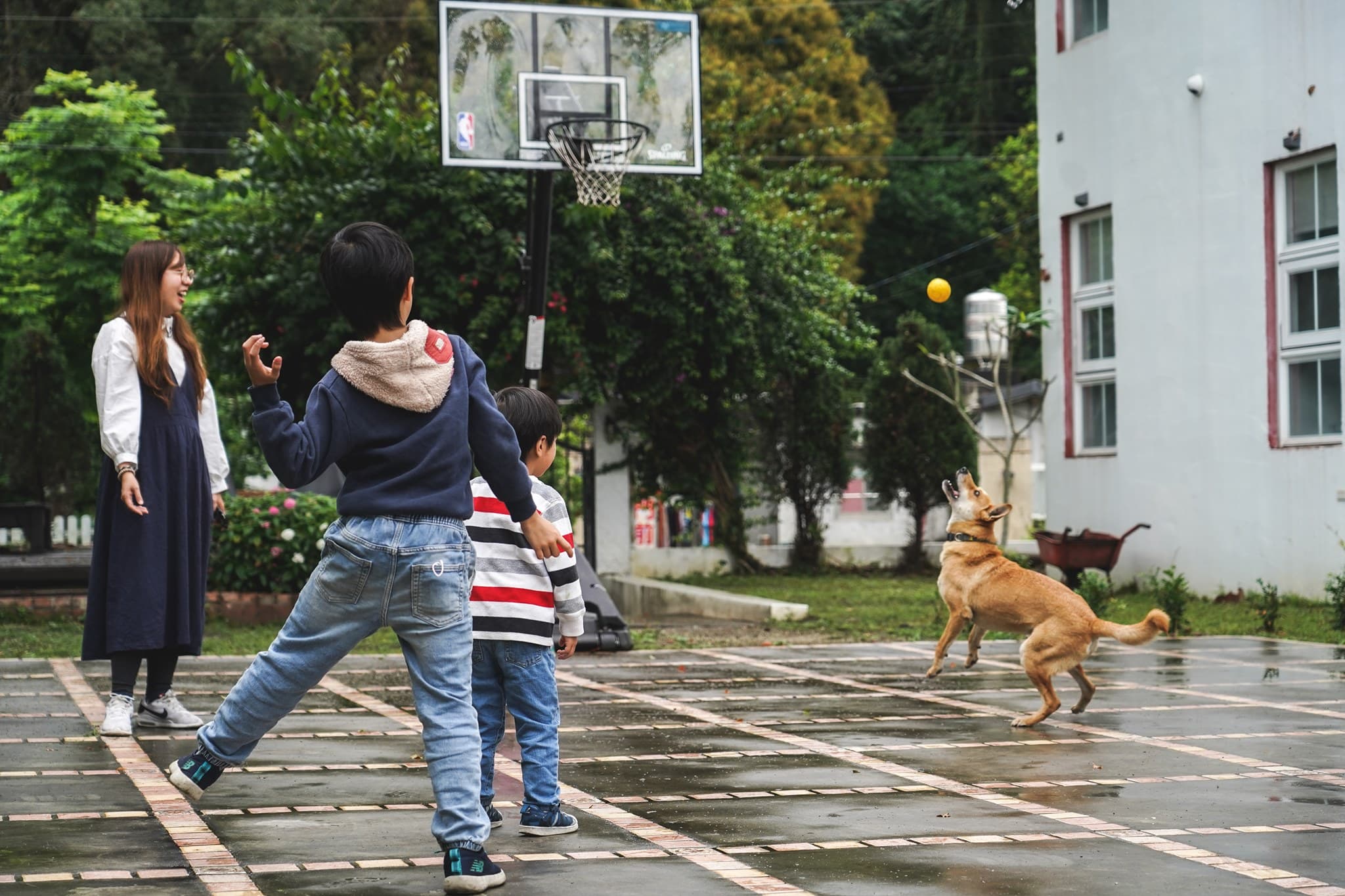小南法花園招待所 3
