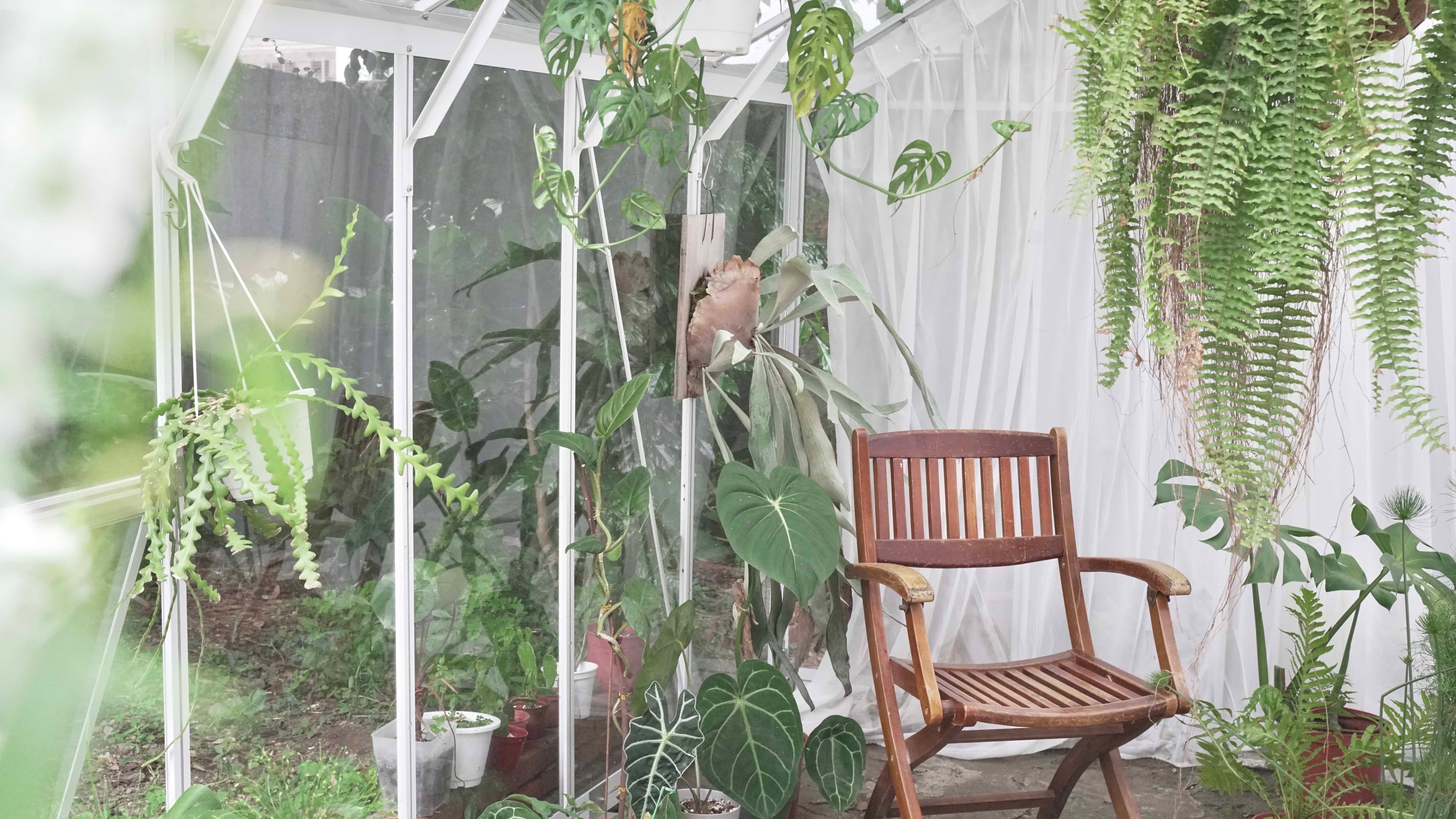 植日/A.Plantday/植物實景攝影棚/溫室/捷運明德站步行3分鐘 2