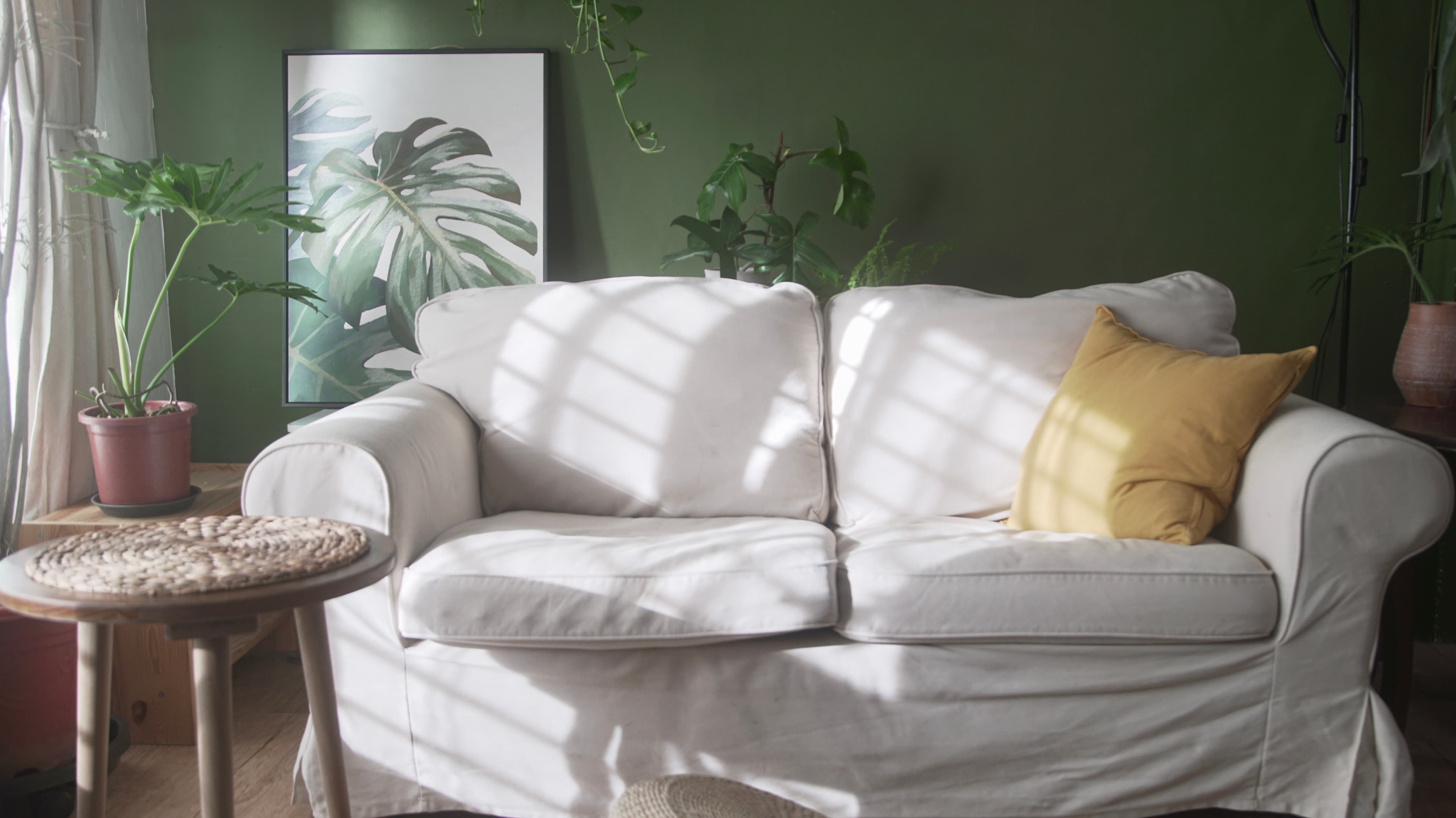 植日/A.Plantday/植物實景攝影棚/溫室/捷運明德站步行3分鐘