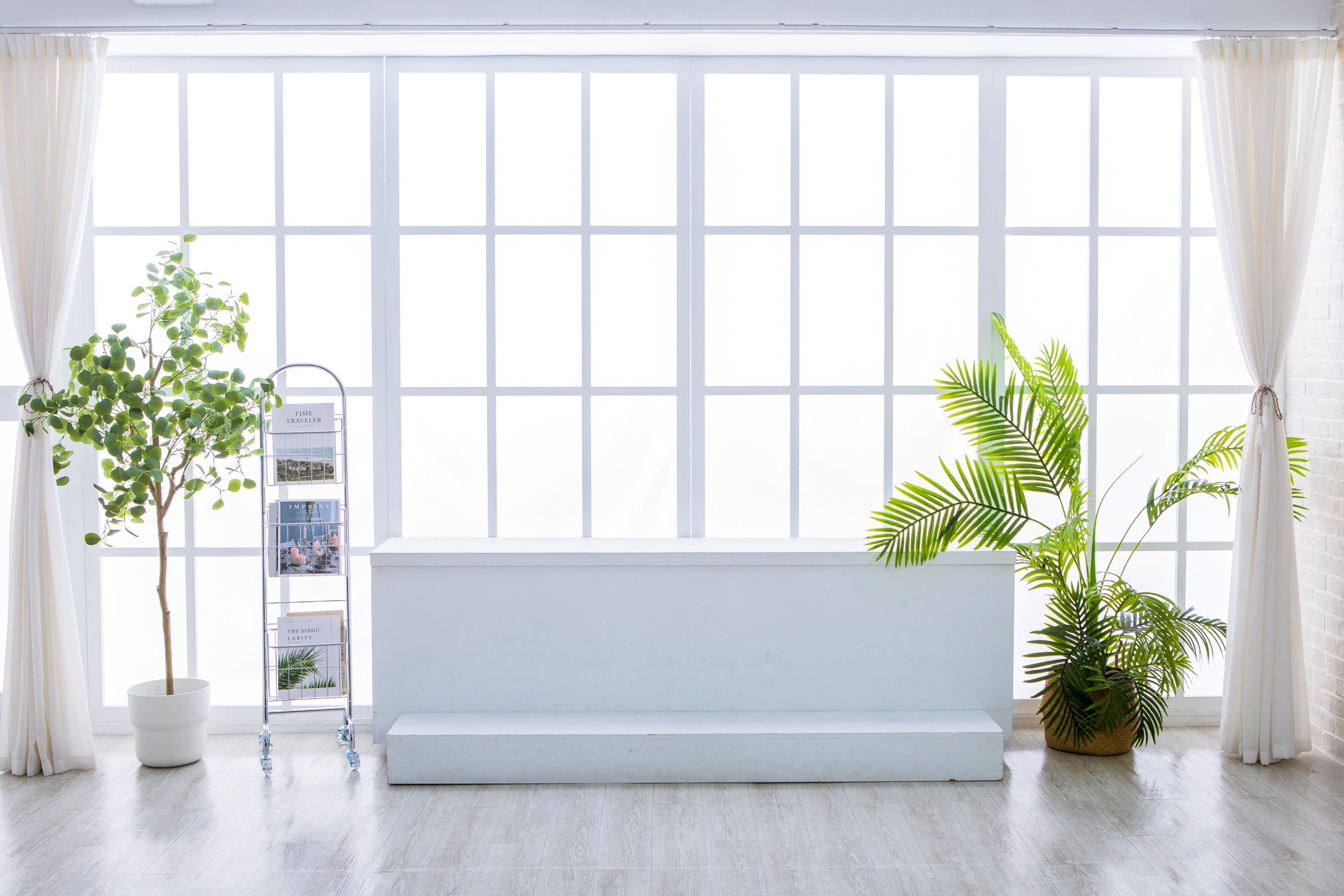 金采攝影棚_單層實景透光窗客廳/白棚/黑棚/綠棚 cover