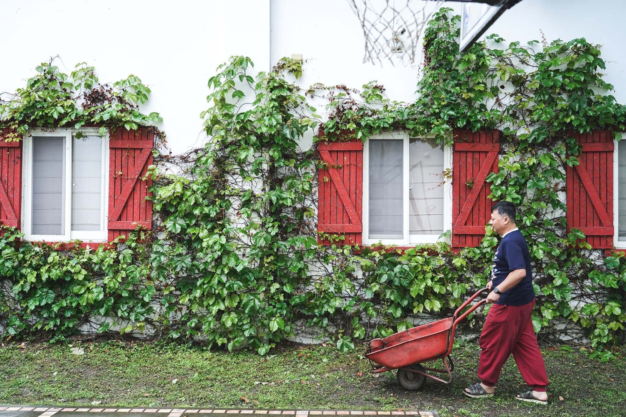 小南法花園招待所 2