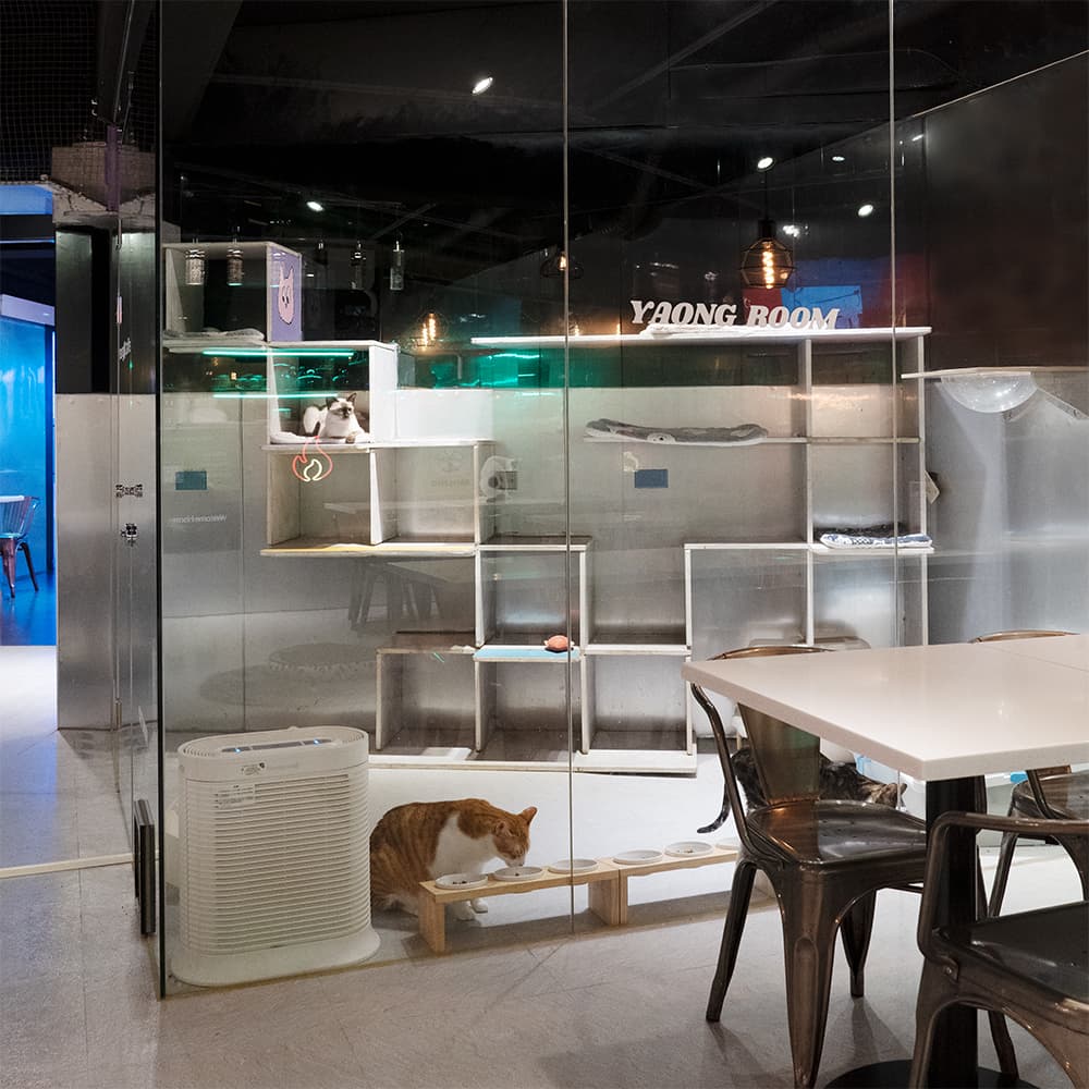 24N4X & YAONG CAFFE 韓國服飾複合式韓系貓咪咖啡廳 / 展演空間 基隆店 3