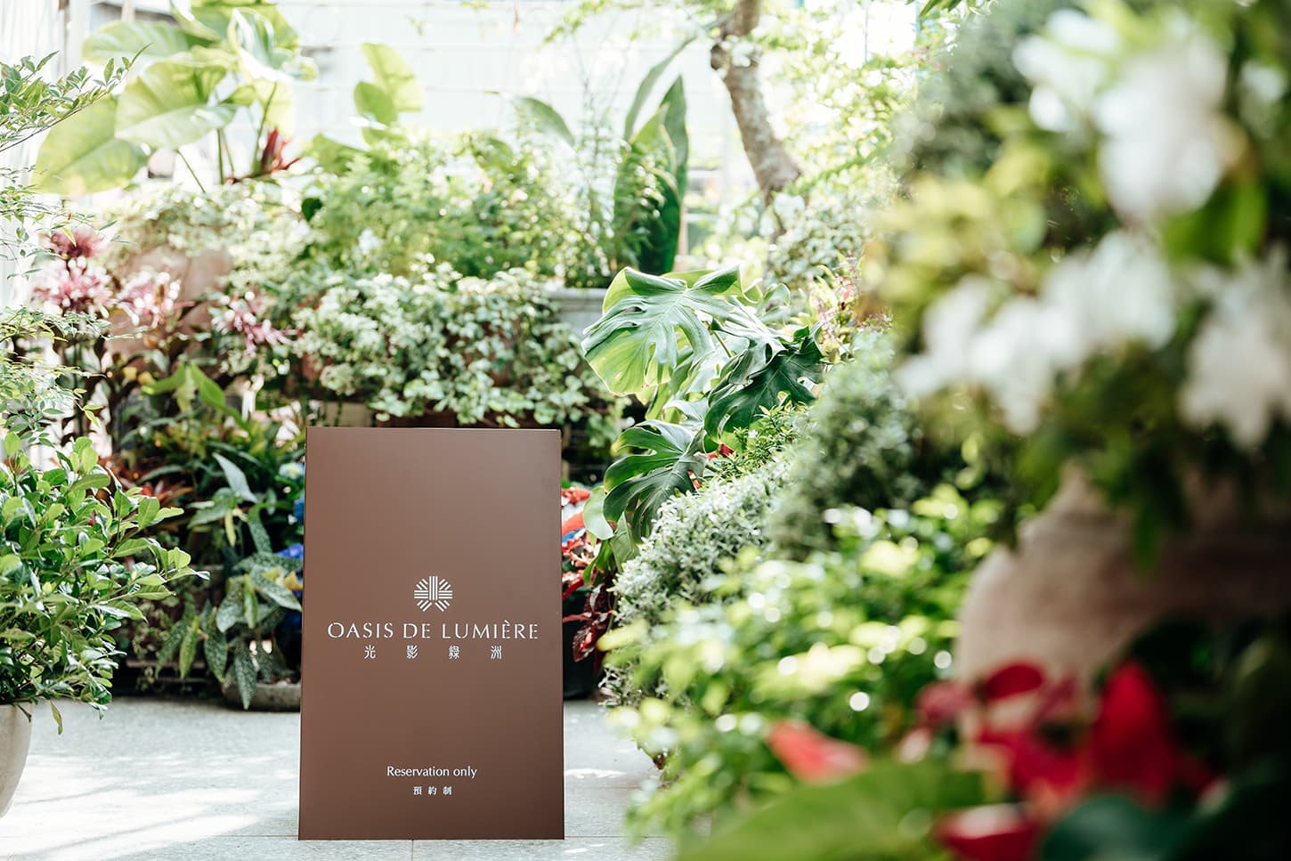 OASIS DE LUMIÈRE 光影綠洲 1