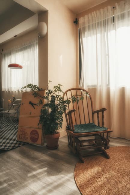 花與三角龍攝影棚 2