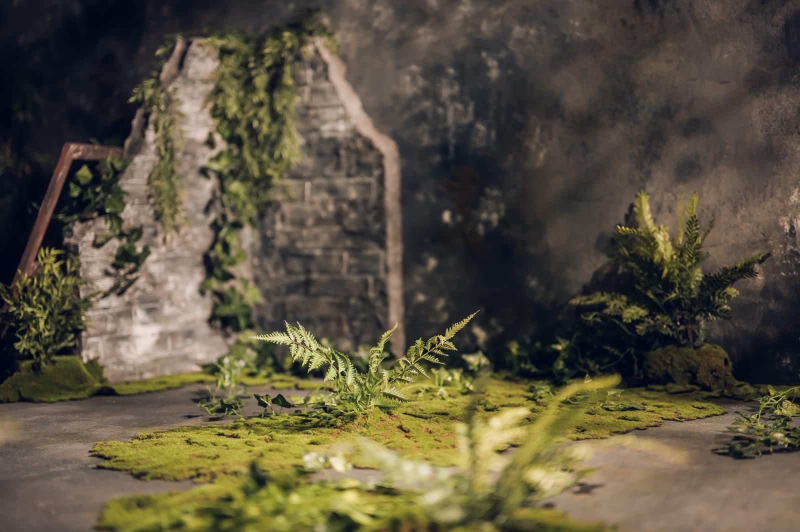 貓棚 Felidae Studio 2