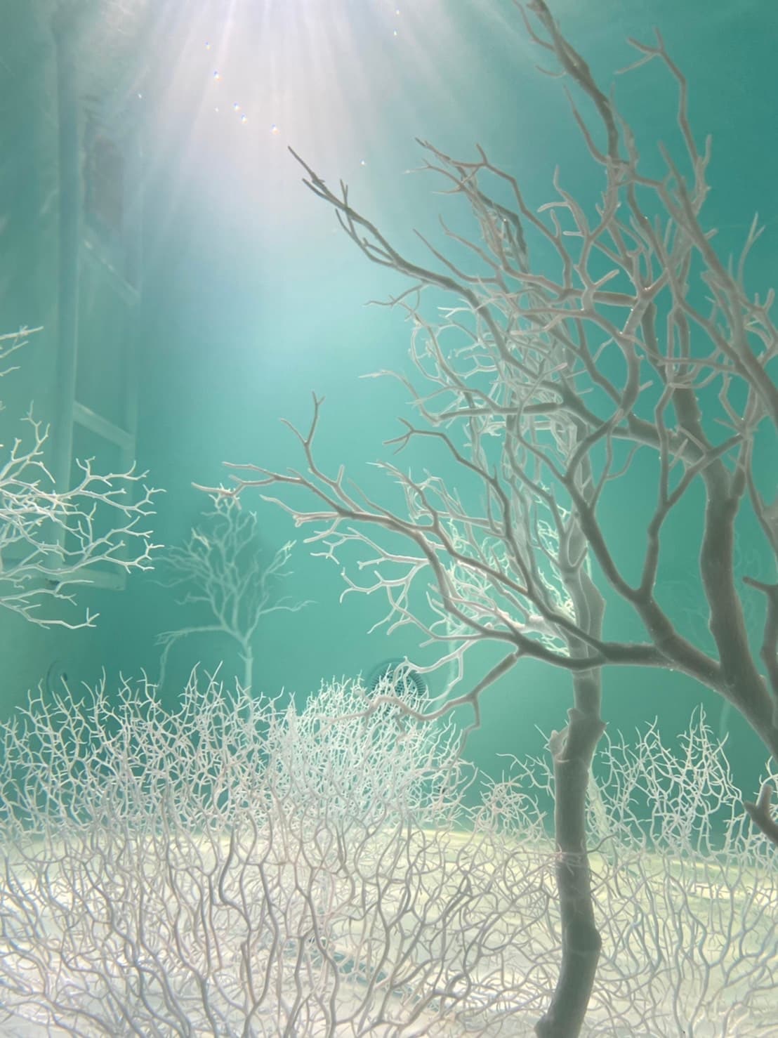 滴棚-水下攝影棚 cover