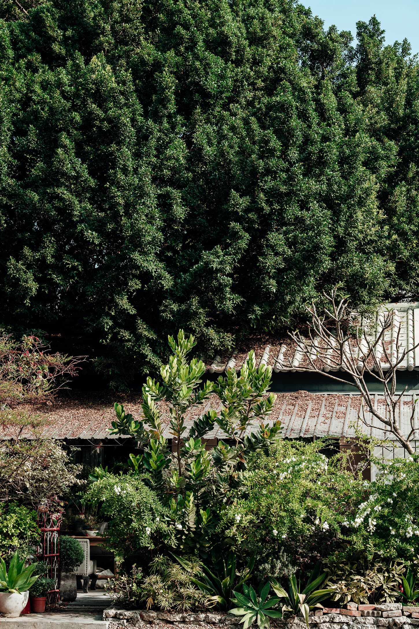 OASIS DE LUMIÈRE 光影綠洲 2