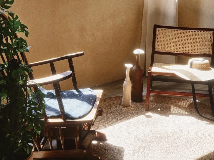 花與三角龍攝影棚 1