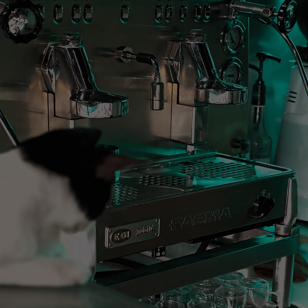 24N4X & YAONG CAFFE 韓國服飾複合式韓系貓咪咖啡廳 / 展演空間 基隆店 4