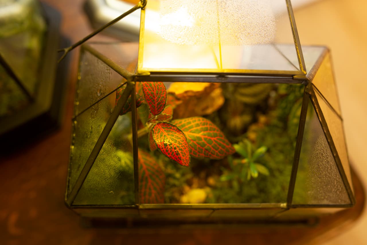 海澤花園攝影棚 信義區浪漫美景 4