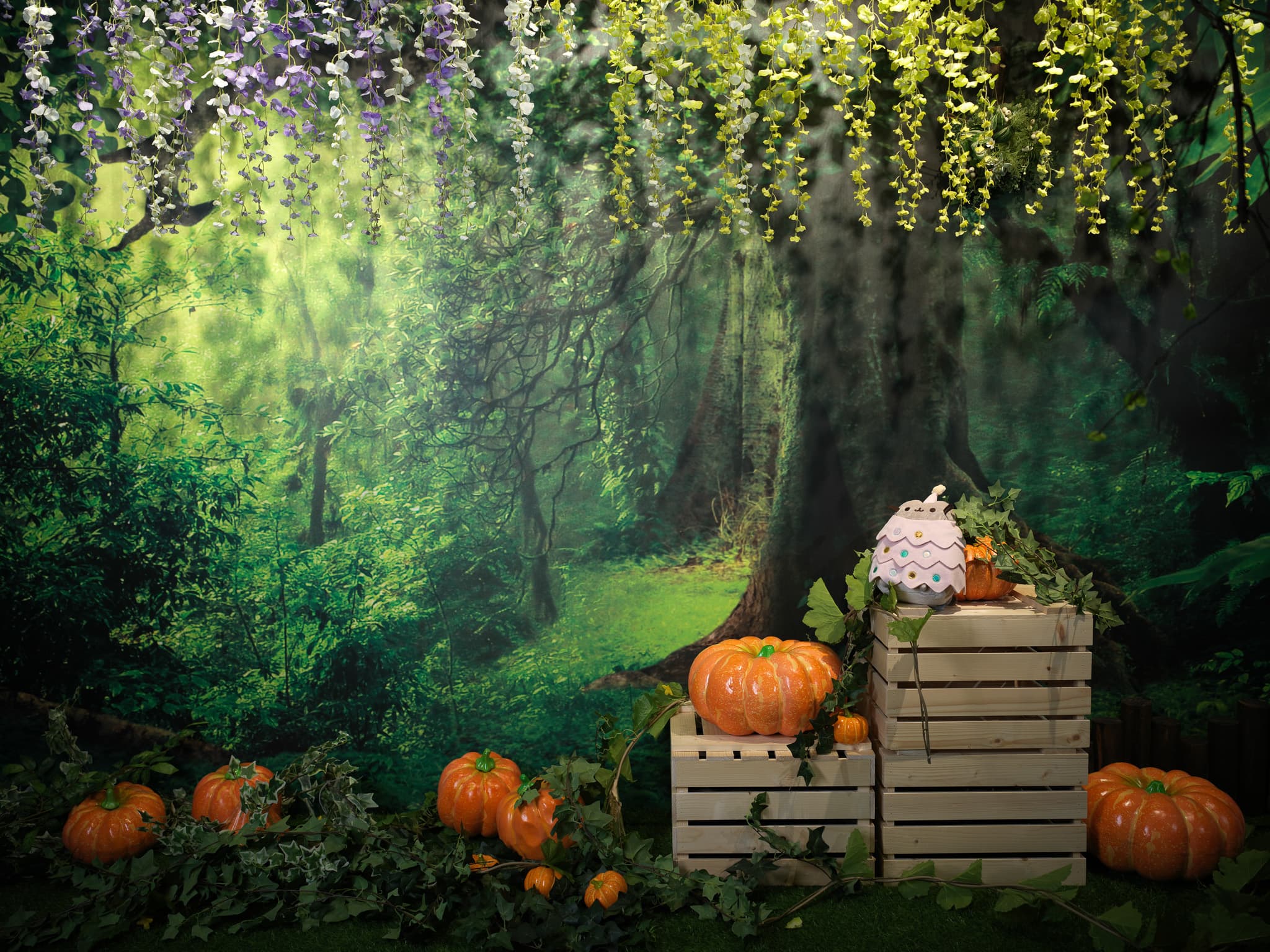 藍蛇攝影棚 Lancer Studio 2