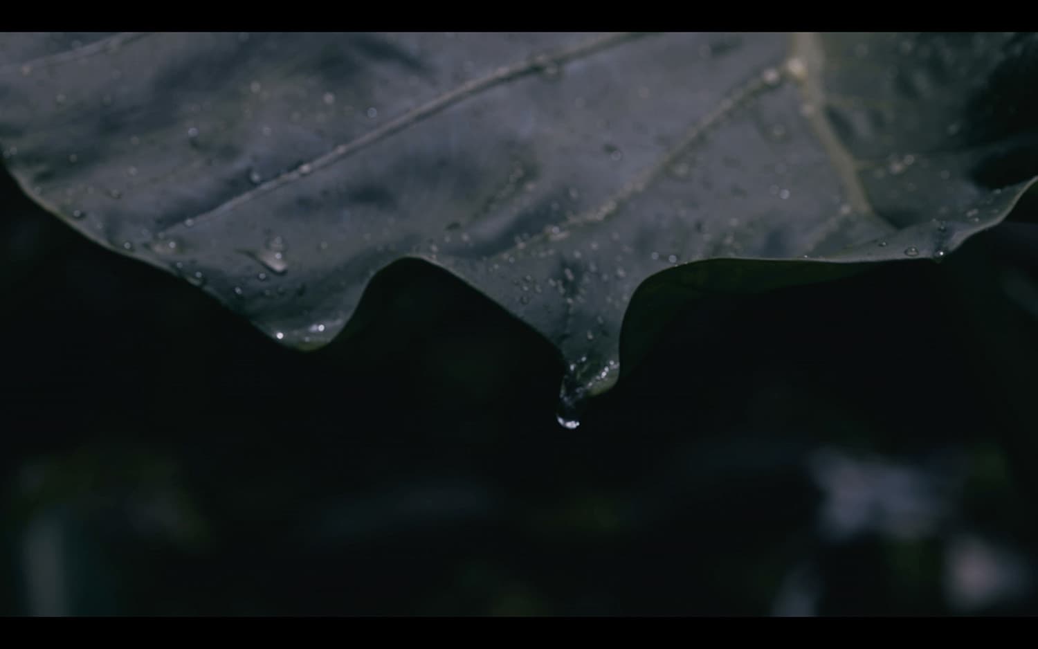 台北佔地800坪三合院莊園 1