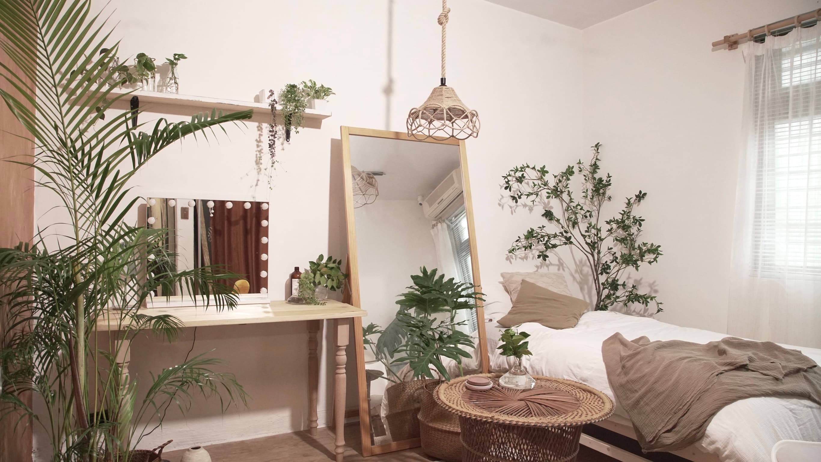 植日/A.Plantday/植物實景攝影棚/溫室/捷運明德站步行3分鐘 1