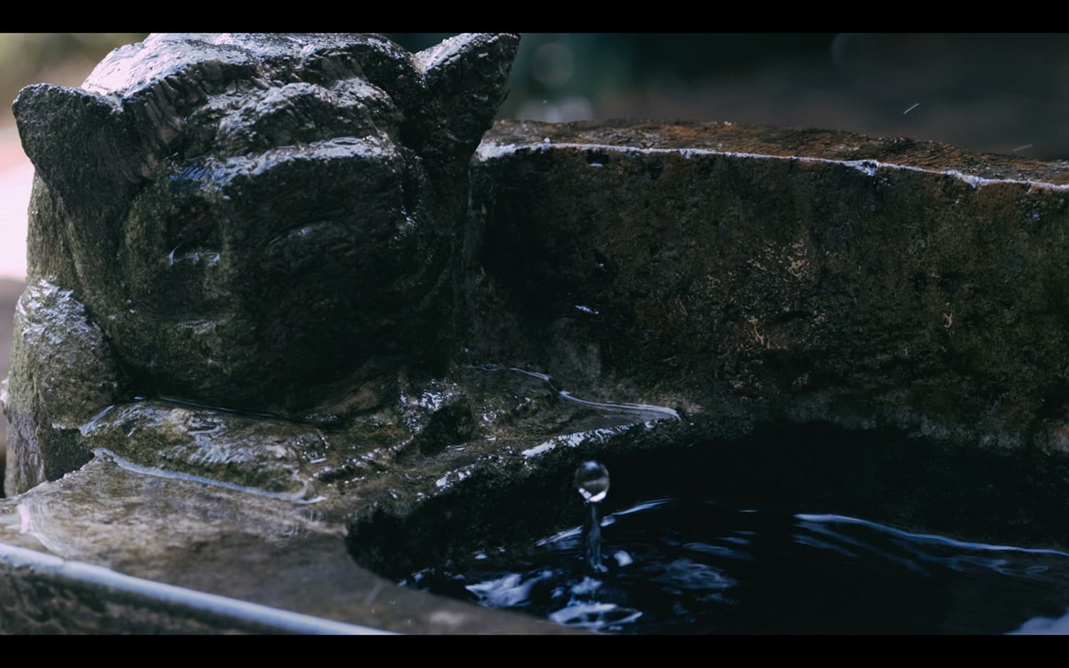 台北佔地800坪三合院莊園