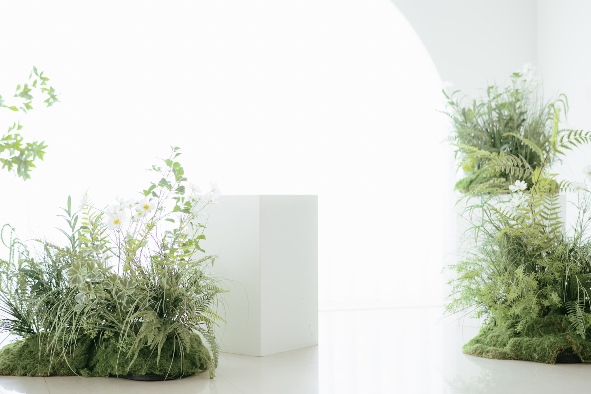 呼呼藝彩空間 1