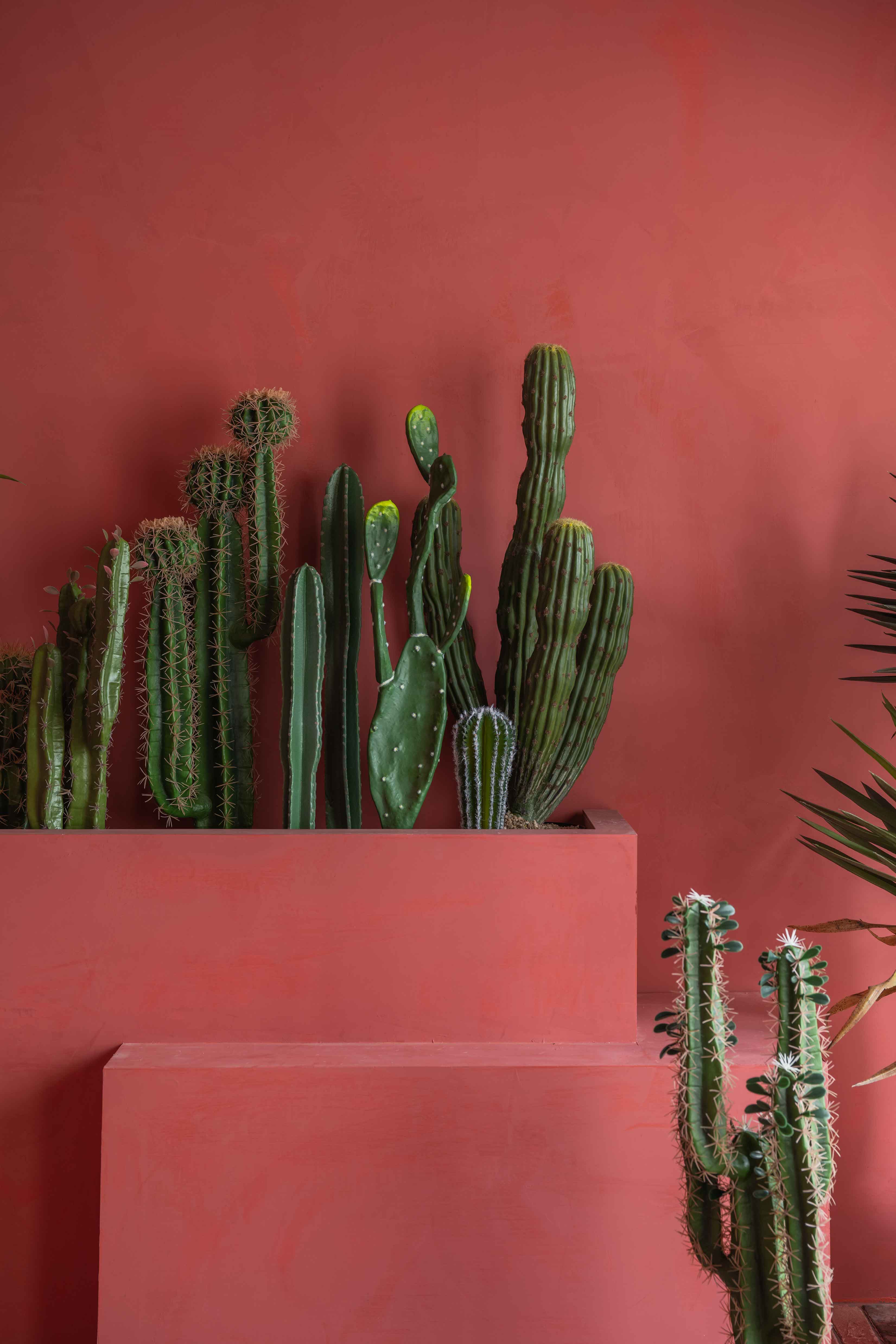 Studio 91桃園實景攝影棚 居家/簡約/特色實景/無縫白棚/活動空間 4