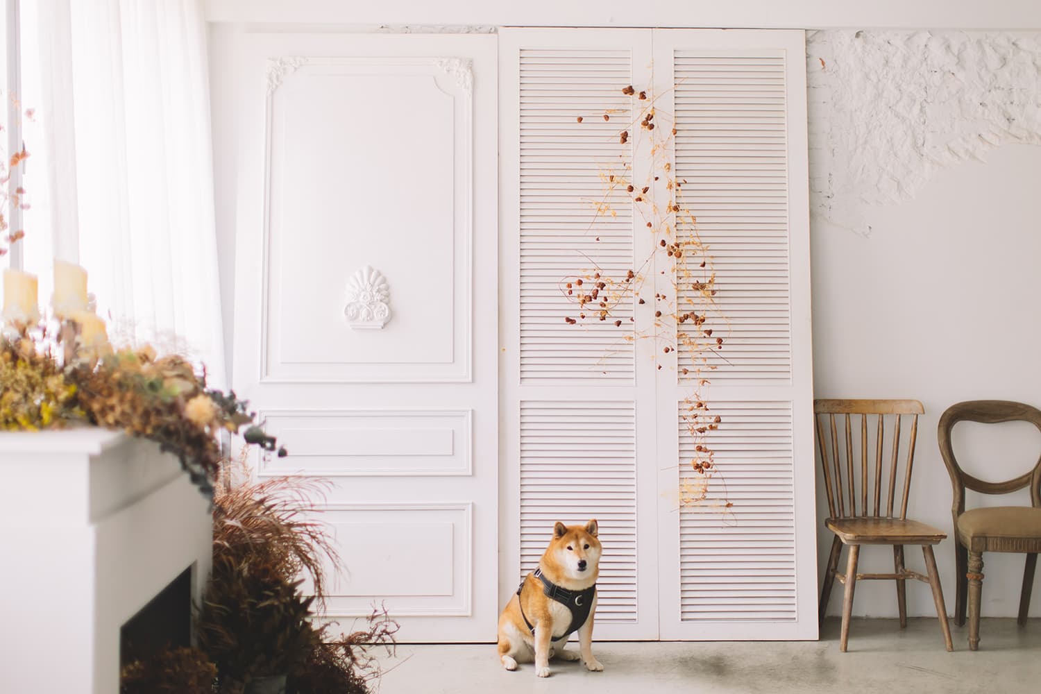 有個捲攝影棚 cover