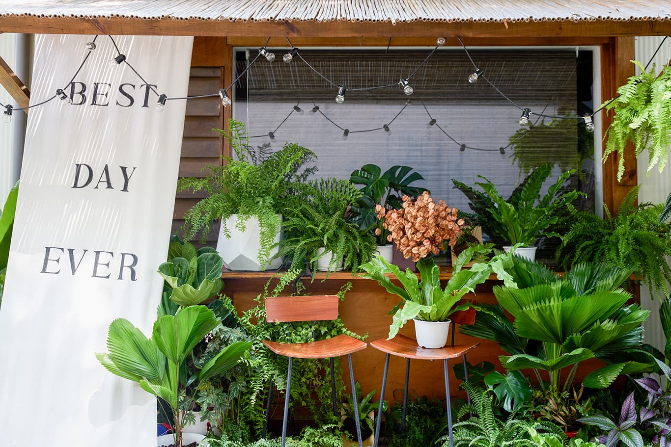 Dear Via 韓式證件 | 各式寫真 | 攝影棚出租 1