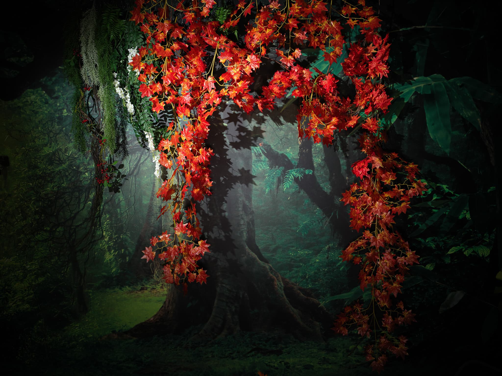 藍蛇攝影棚 Lancer Studio 3