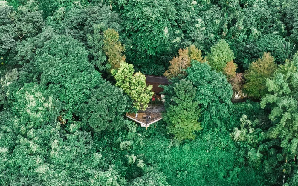 梯田山民宿 cover